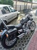 Yamaha Virago 535 - 7