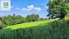 Zieleniec - działka 0,5 ha z warunkami zabudowy na 10 domków - 4