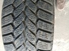 Opona zimową R 14 155/65 Semperit WINTER – GRIP - 7