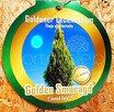 Tuja ,tuje Golden Szmaragd Janed Gold Transport , sadzimy ! - 3