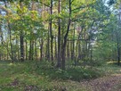 Sprzedam działkę leśną Myszków 7467 m2 - 4