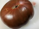 Nasiona Pomidor Kumato Kumbulu kolekcja - 2