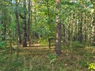 Sprzedam działkę leśną Myszków 7467 m2 - 10