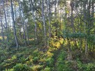 Sprzedam działkę leśną Myszków 7467 m2 - 7