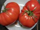 Pomidor Malinowy gigant Babcina Malinówka do kolekcji - 2