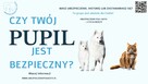 Ubezpieczenie Psa i Kota Piekary Śląskie inne Ubezpieczenia - 3
