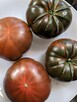 Nasiona Eco Pomidor żółty malinowy dużo odmian kolekcja - 8
