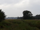 Sprzedam łąkę 0.53 ha - 2