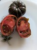 Consąbor pomidor ciekawy rzadki nasiona kolekcjinerskie - 5