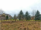 Piękna regularna działka nad stawem 1001m Niedoradz - 5
