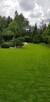 ① Pielęgnacja ogrodów, Zakładanie trawnika, Koszenie Trawy - 5