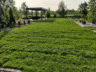 Projektowanie i zakładanie ogrodów - Kompleksowa realizacja - 6