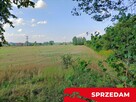 Dwie działki budowlane w Nowodworze gm.  Lubatów. - 4