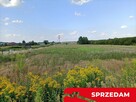 Dwie działki budowlane w Nowodworze gm.  Lubatów. - 7