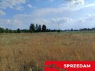 Dwie działki budowlane w Nowodworze gm.  Lubatów. - 8