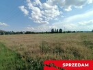 Dwie działki budowlane w Nowodworze gm.  Lubatów. - 9