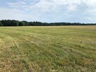Działka budowlana Rabinówka gm. Tomaszów Lubelski, Łubinowa - 5