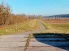 Działka 7 arów - okolice Kazimierza Parchatka - 14
