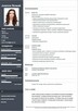 Perofesjonalne pisane cv