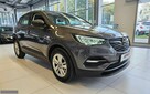 Opel Grandland X FV23%! Jeden właściciel! Salon Polska! - 7