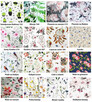Antyalergiczna pościel 100% BAWEŁNA 220x200+2x70x80 Wzory - 7
