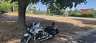Sprzedam Yamaha Drag Star 650 - 5