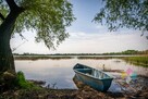 Ławki, siedlisko z linią brzegową, własny sad - 6