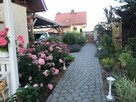 Usługi ogrodnicze - 6