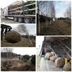Nawodnienia terenów zieleni - 10