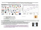 Cetan R = VERVA koncentrat do oleju napędowego - 5