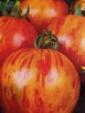 Nasiona Pomidor Kumato Kumbulu kolekcja - 13