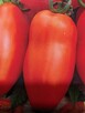 Nasiona Pomidor Kumato Kumbulu kolekcja - 11