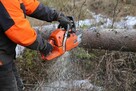 Koszenie trawy przycinanie tui tuj gałęzi żywopłotów rębak - 3