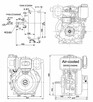 Silnik spalinowy diesel 10.5KM silniki WEIMA WM186FBE-Z88!!! - 12