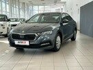 Škoda Octavia Salon Polska ,Serwis ASO , Pierwszy Właściciel , Niski przebieg - 4