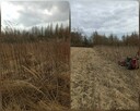 Koszenie trawy, nieużytków, kosiarka bijakowa, karczowanie - 5