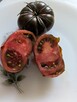Pomidor San Marzano 3 na przetwory nasiona do kolekcji - 4