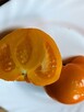 Pomidor San Marzano 3 na przetwory nasiona do kolekcji - 10
