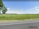 Działka rolna Rumianek gm. Tarnowo Podgórne, - 4