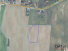 Działka rolna Rumianek gm. Tarnowo Podgórne, - 8