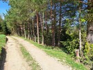 Działka z widokiem na Babią Górę i Policę - 12
