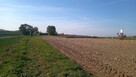 Działka budowlana Chruszczyna Wielka gm. Kazimierza Wielka - 4