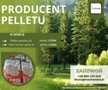 Pellet sosnowy 6mm - 6