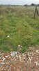 Dzialki budowlane w Gorzowie w dzielnicy Karnin ul. Letnia - 11