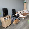 Zamienię lub sprzedam mieszkanie - 13