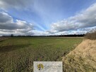 Działka 4600 m2 Sobieszewo ul. Uzdrowiskowa - 2
