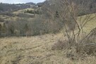Fenomenalna lokata kapitału w Szczawnicy - 5