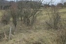 Fenomenalna lokata kapitału w Szczawnicy - 7