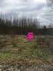 Działki budowlane Zakrzów gmina Białaczów. - 3