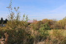 Działka bud. 1200 m2 - Rożnowa k/Wieliczki - 2
